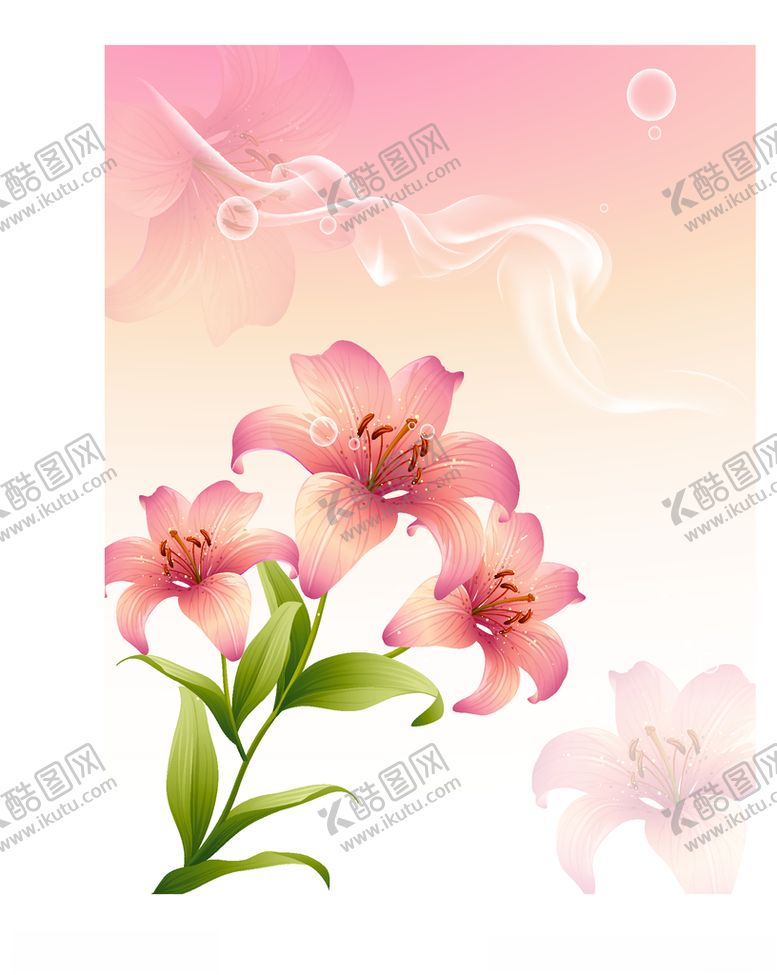 编号：55400205051726473495【酷图网】源文件下载-百合花