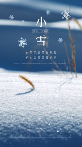 24二十四节气小雪海报背景下雪