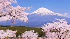 富士山