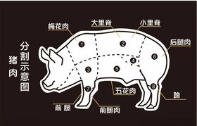 猪肉分割图