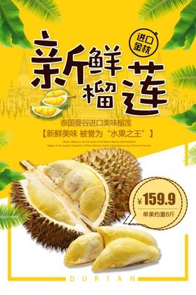 榴莲海报猫山王榴莲泰国金枕