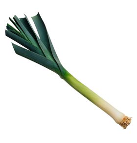 大葱