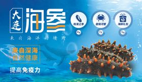 海参宣传海报