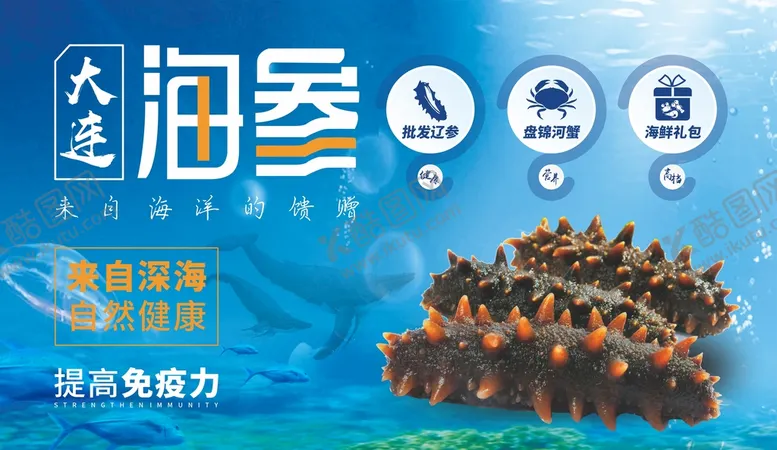 编号：94817011021359244522【酷图网】源文件下载-海参海报