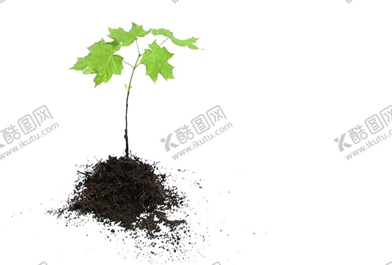 编号：93689907020335512633【酷图网】源文件下载-绿色植物