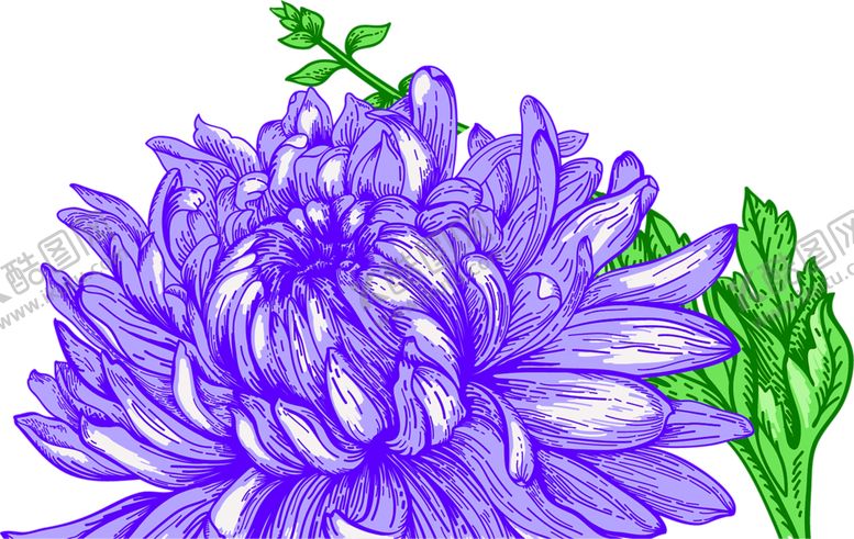 编号：79272609271504385603【酷图网】源文件下载-鲜花装饰