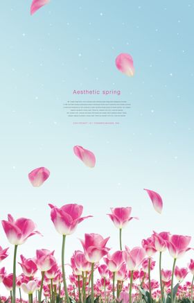 鲜花海报图片