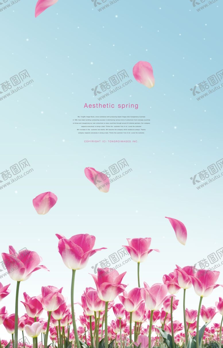 编号：74013410040531305648【酷图网】源文件下载-鲜花海报图片