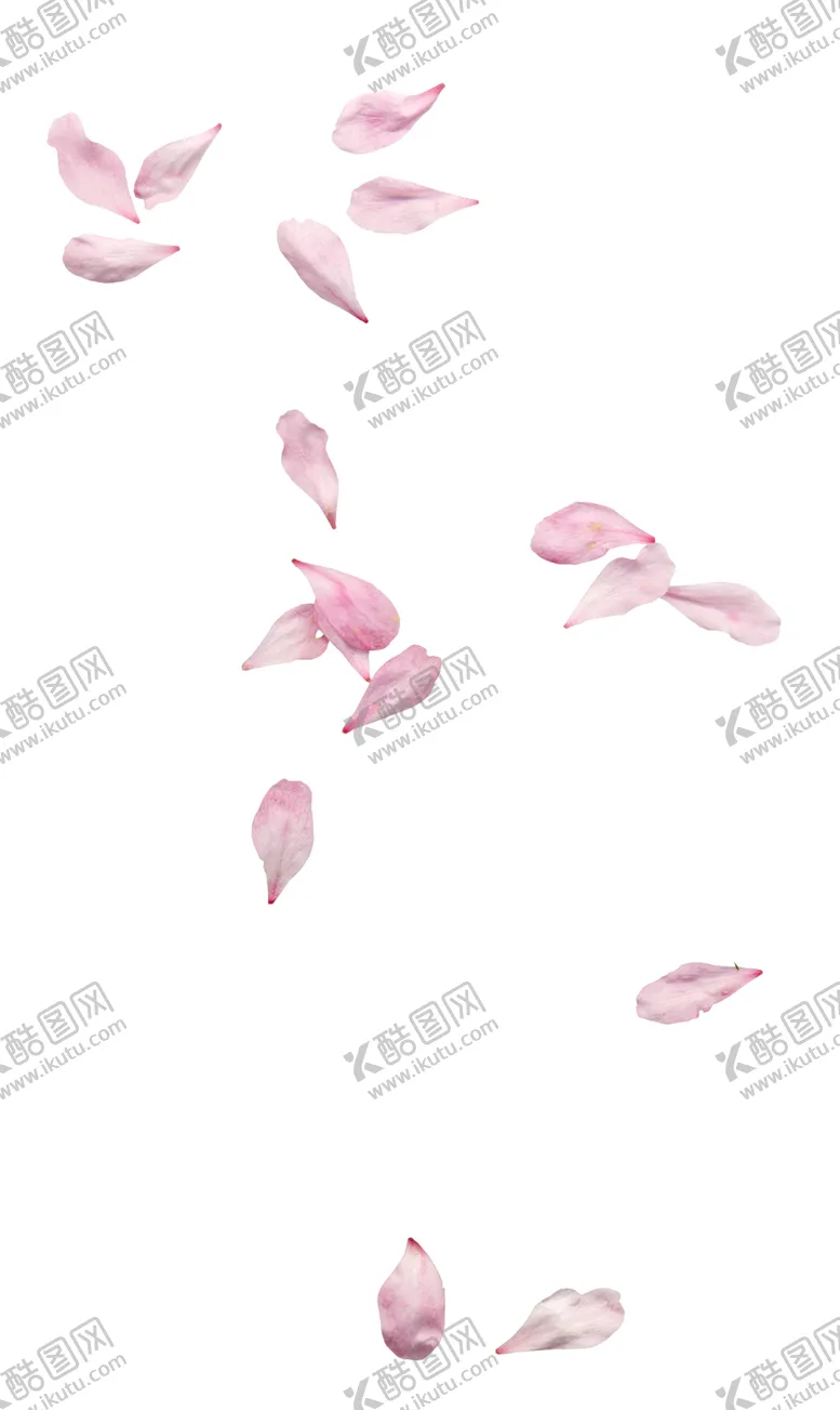编号：10919703140349262554【酷图网】源文件下载-樱花素材
