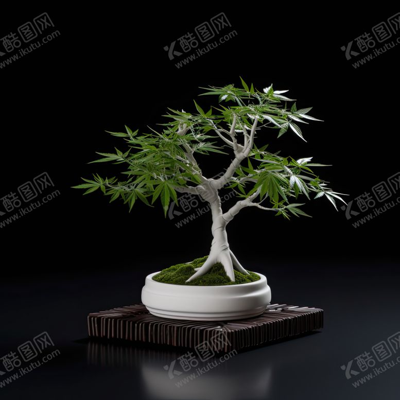 编号：69152901170342436765【酷图网】源文件下载-盆栽素材