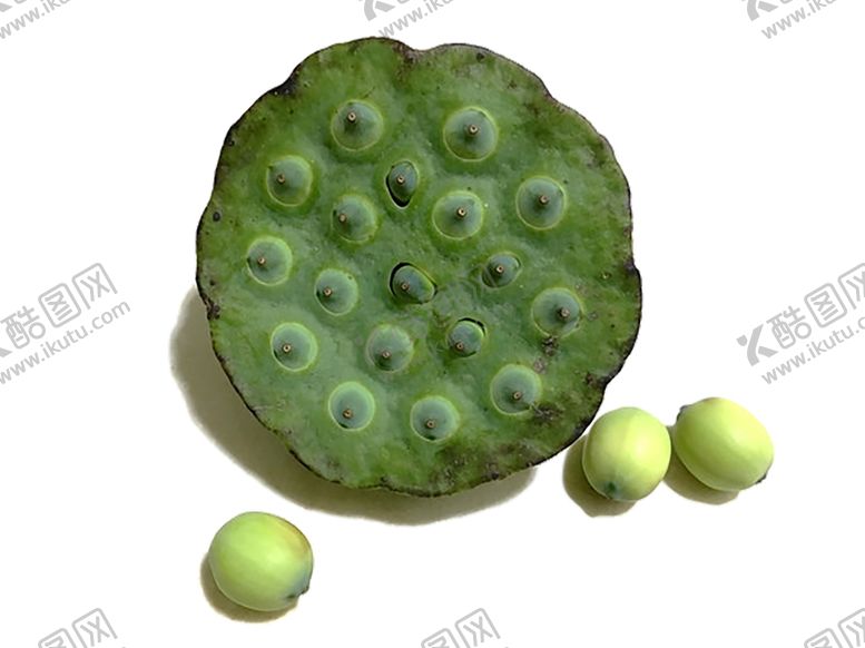 编号：15358909160219314024【酷图网】源文件下载-绿色相框