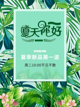 夏季新品