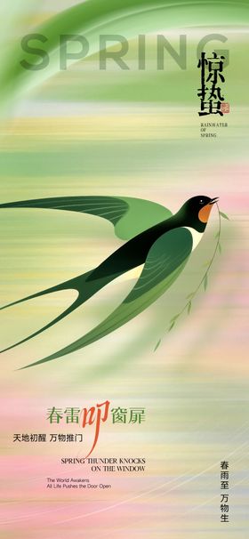 惊蛰燕子海报