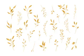 手绘线性插画