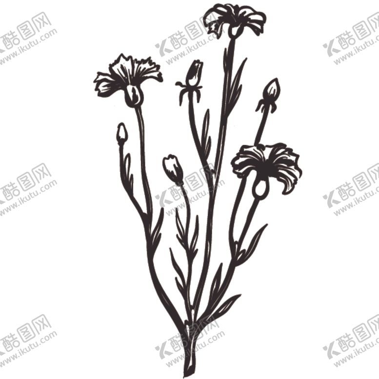 编号：98814710170616533030【酷图网】源文件下载-素描绘画植物花朵