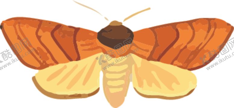 编号：68187610291200205410【酷图网】源文件下载-飞蛾昆虫插画