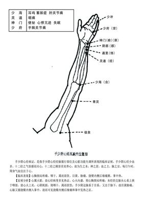 十二经脉