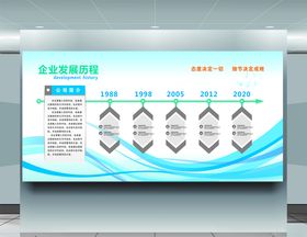 企业发展历程