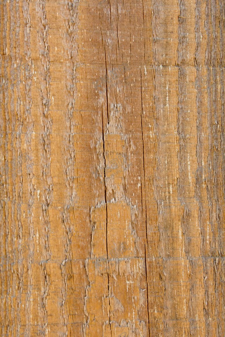 编号：77490809172359243616【酷图网】源文件下载-树皮