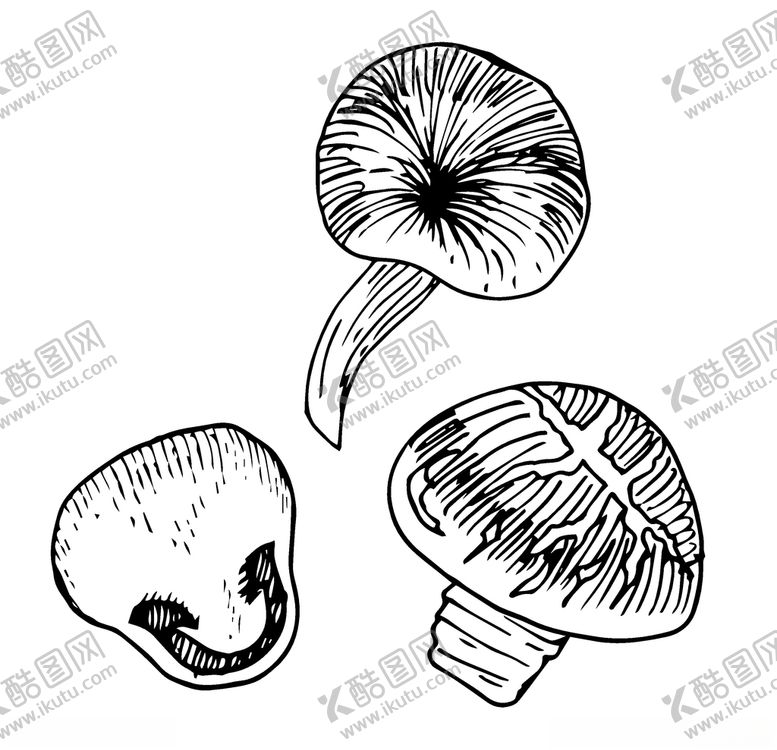 编号：32577110301216111691【酷图网】源文件下载-蔬菜