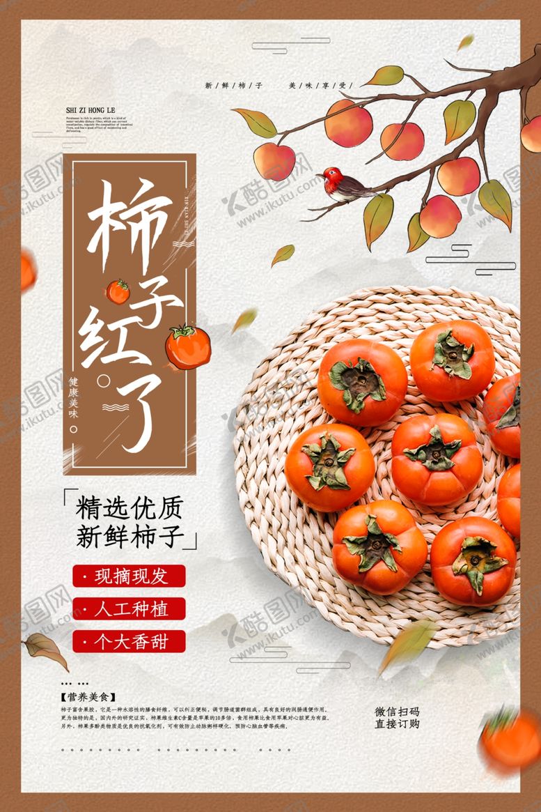 编号：41439010131215256039【酷图网】源文件下载-柿子熟了