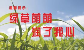 温馨提示绿草荫荫