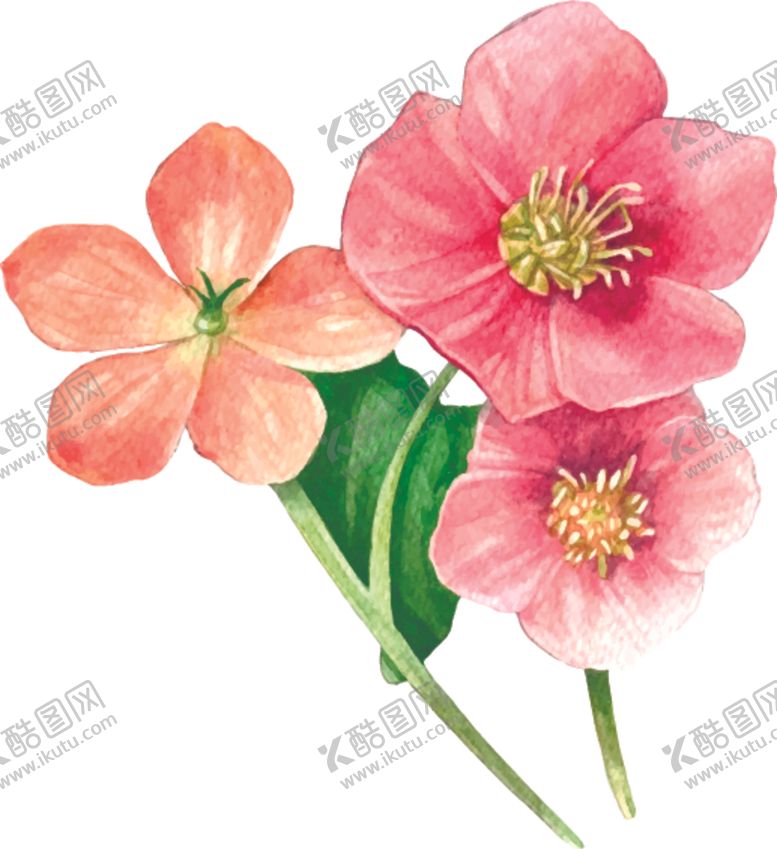 编号：54777705101829308979【酷图网】源文件下载-手绘绿植