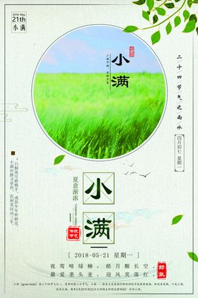 小满节气海报
