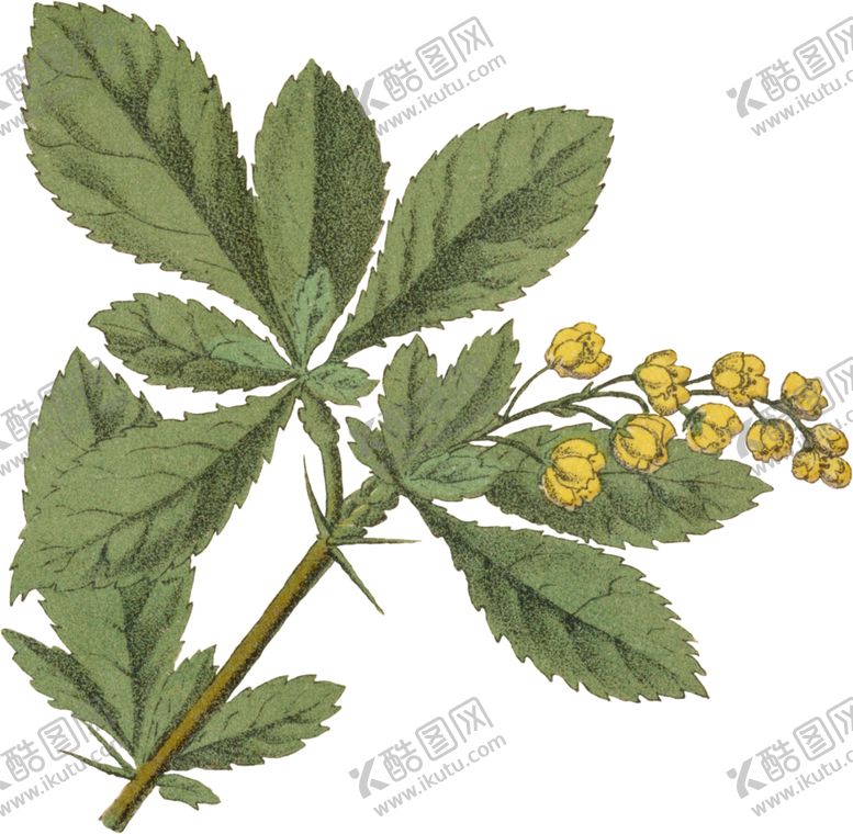 编号：36134309200438492989【酷图网】源文件下载-水彩插画