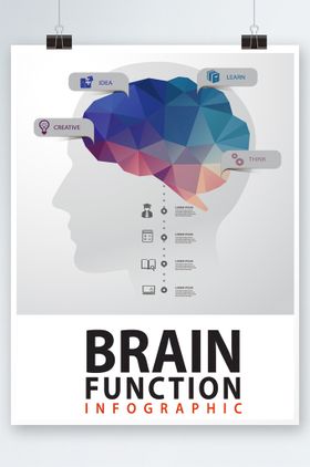 创意大脑设计图片