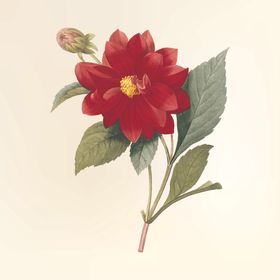 花纹