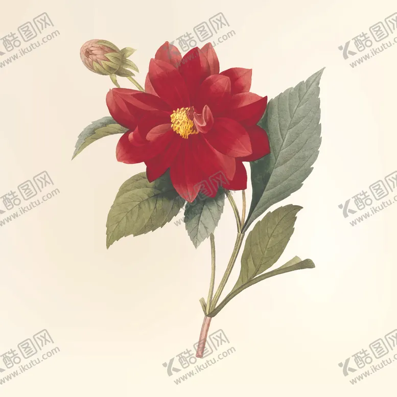 编号：56443706301955193545【酷图网】源文件下载-花纹