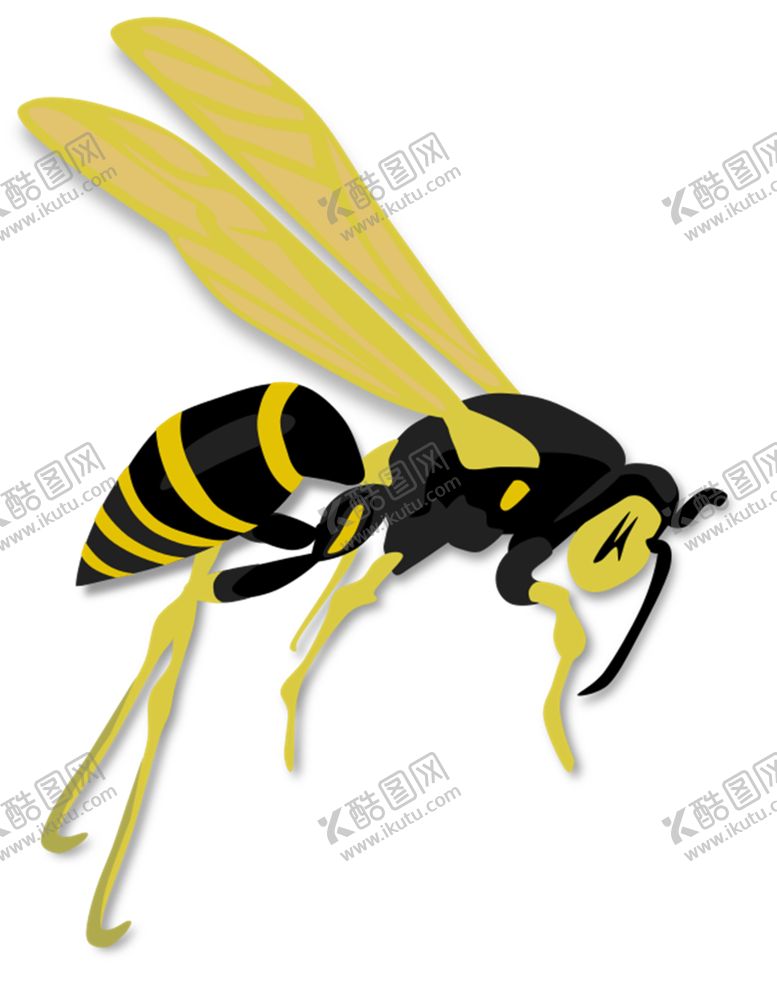 编号：93149904080954251379【酷图网】源文件下载-马蜂