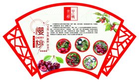 美早樱桃文化