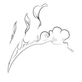 爆炸烟雾