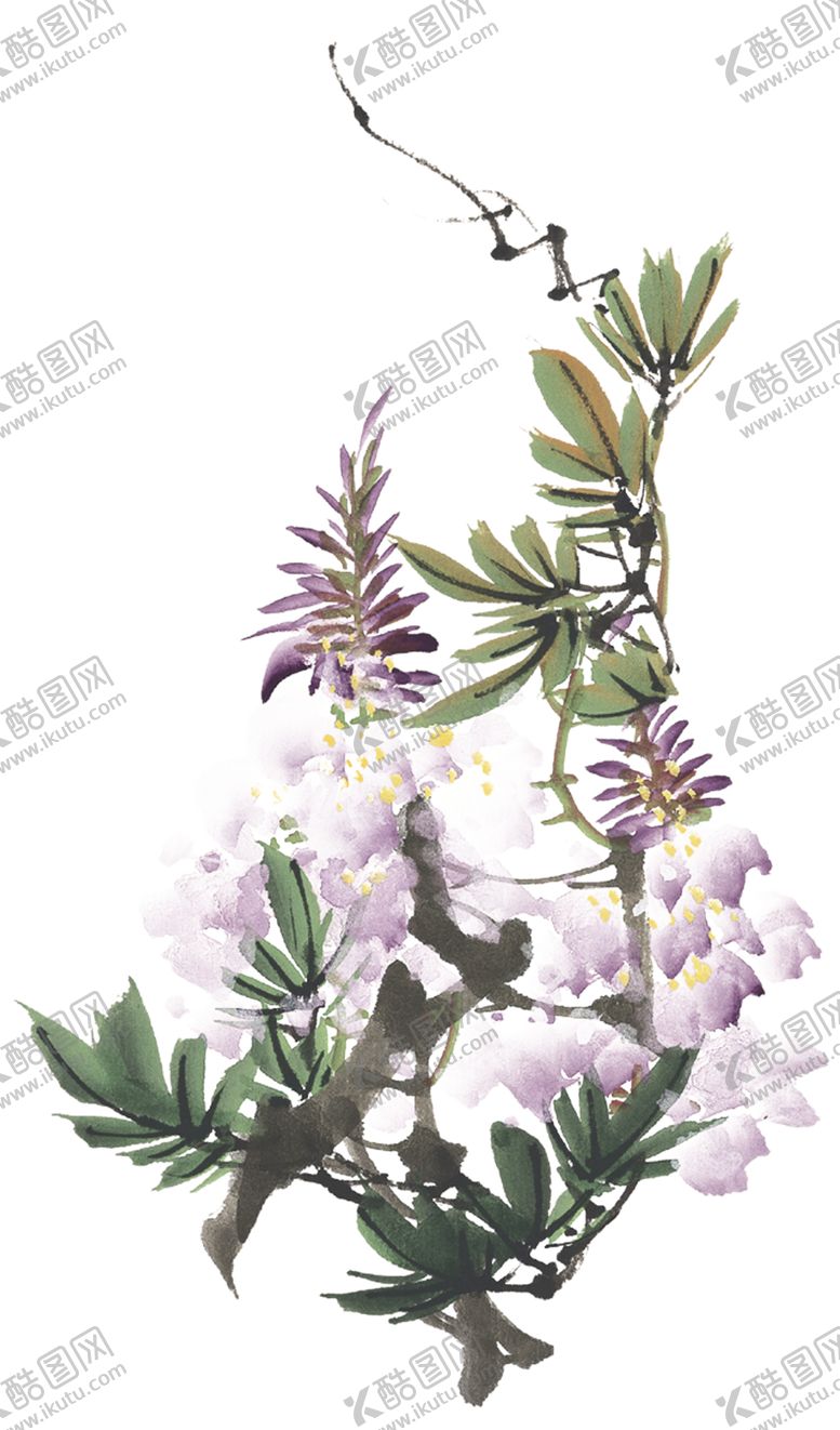 编号：47484811011949478354【酷图网】源文件下载-菊花装饰