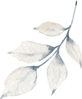 水彩绘画花朵树枝装饰