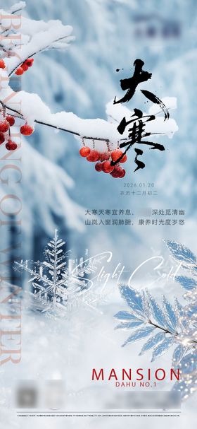 地产大寒节气海报