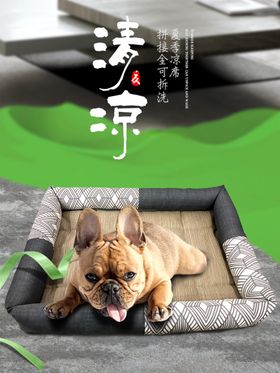 宠物窝主图