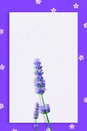 背景图
