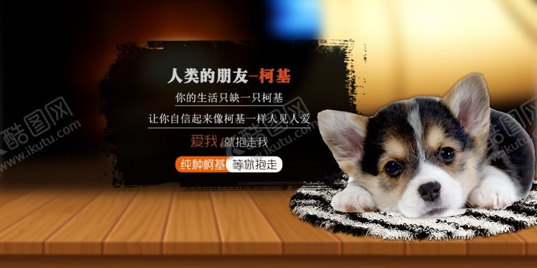 编号：78645807140236181474【酷图网】源文件下载-宠物