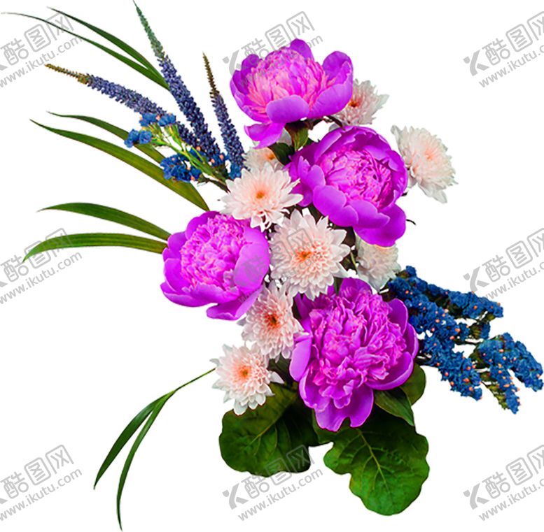 编号：56225206172319066131【酷图网】源文件下载-鲜花素材