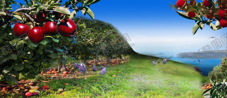 编号：53075610300144109593【酷图网】源文件下载-三文鱼