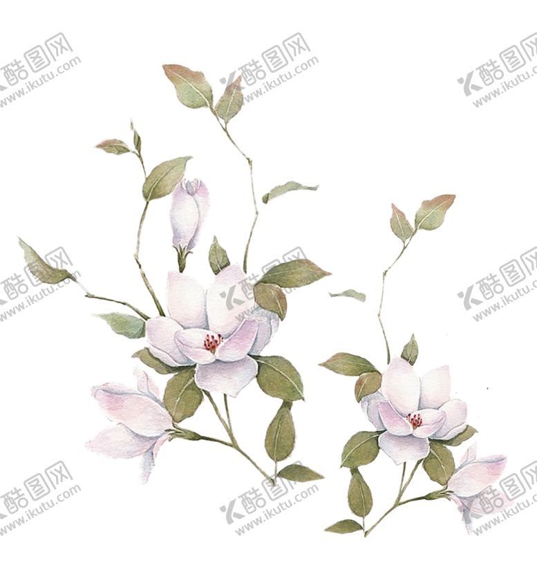 编号：93009105150500112113【酷图网】源文件下载-植物花