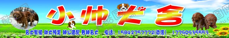 编号：17925110270316483687【酷图网】源文件下载-宠物牌匾图片