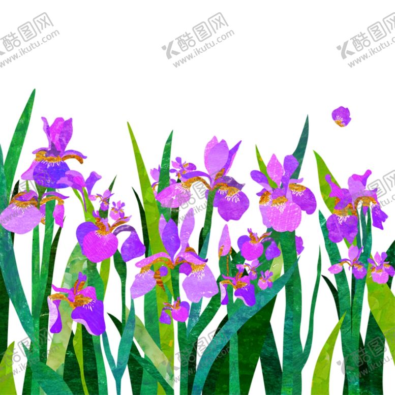 编号：62400204130304241922【酷图网】源文件下载-紫色鲜花插画
