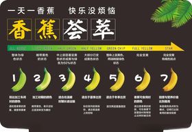 香蕉生长周期展示