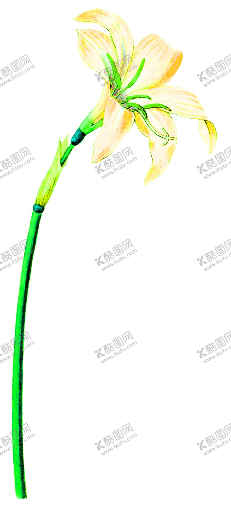 编号：77055306271316334352【酷图网】源文件下载-浪漫素材