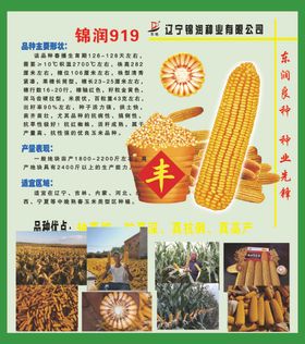 锦润种业公司简介