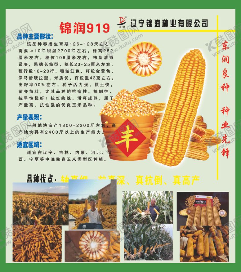 编号：68232809292235418999【酷图网】源文件下载-锦润种业公司简介